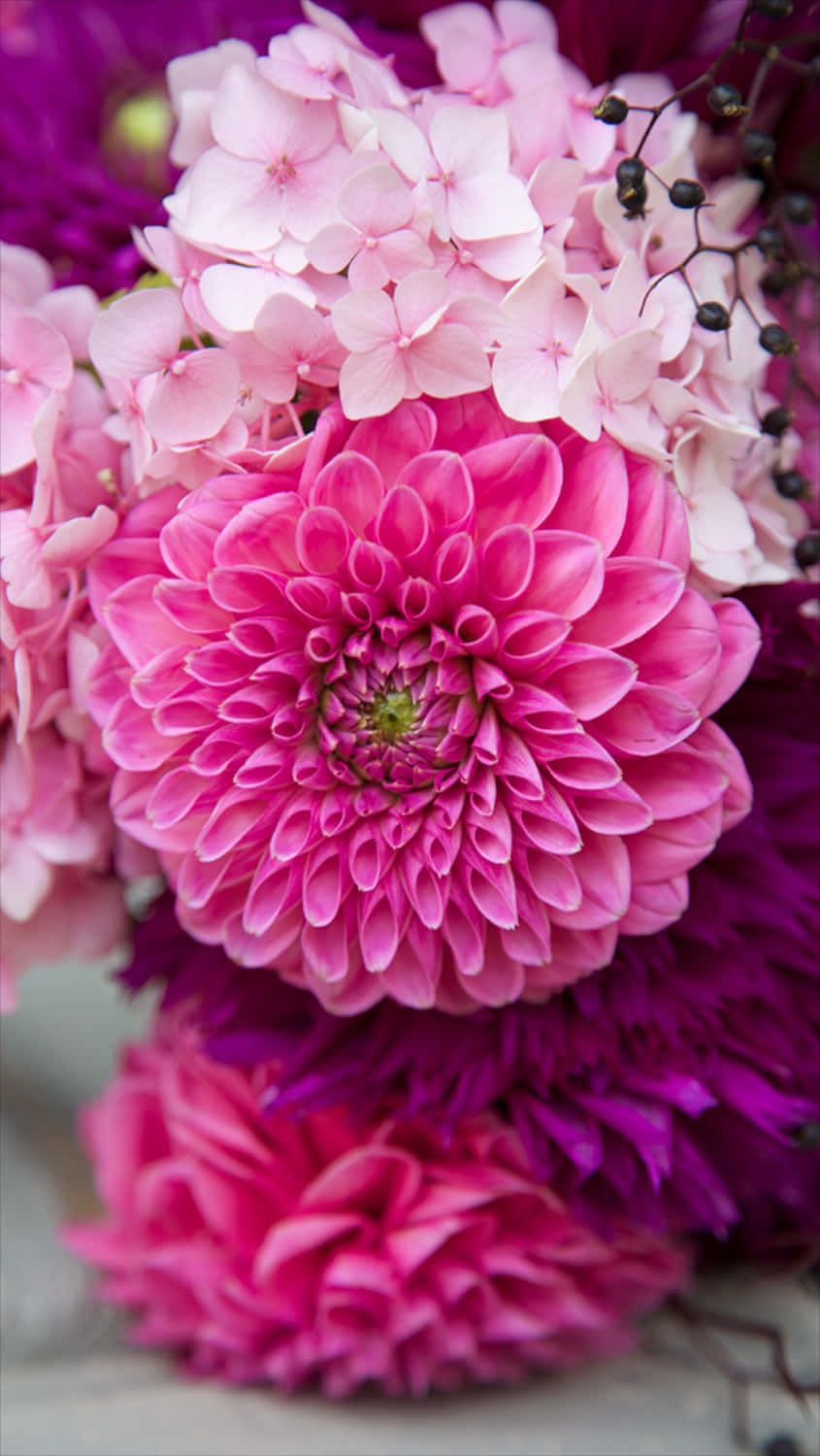 Express Your Style With This Beautiful Pink Flower Phone Wallpaper