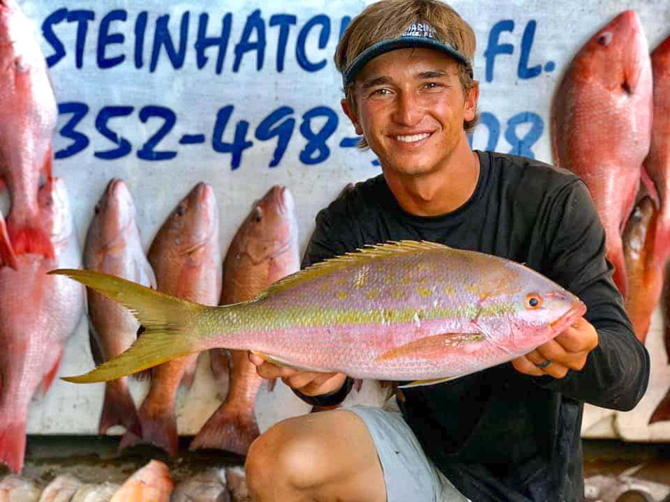 Extraordinary Underwater Sight: Stunning Yellowtail Snapper Wallpaper