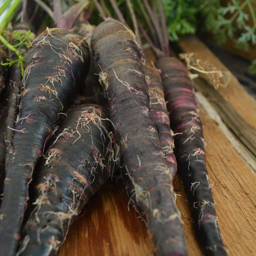 Extravagant Purple Carrots Ready For Harvest Wallpaper