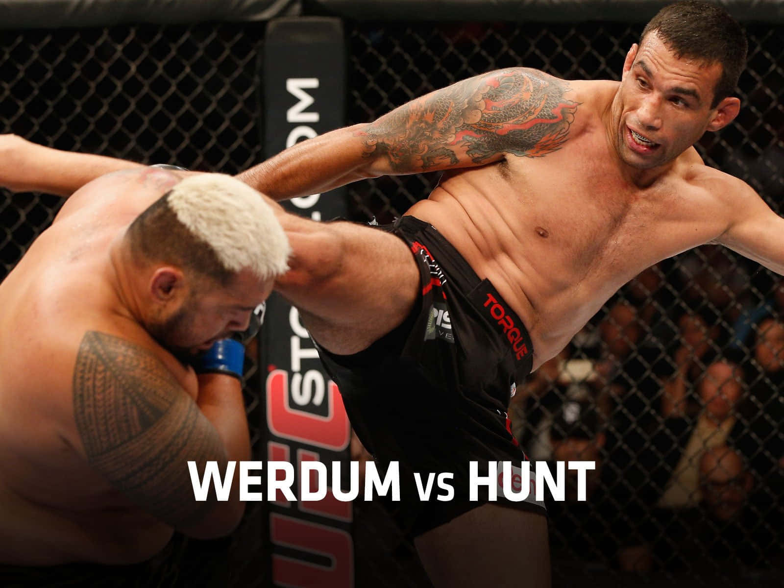 Fabricio Werdum And Mark Hunt Wallpaper