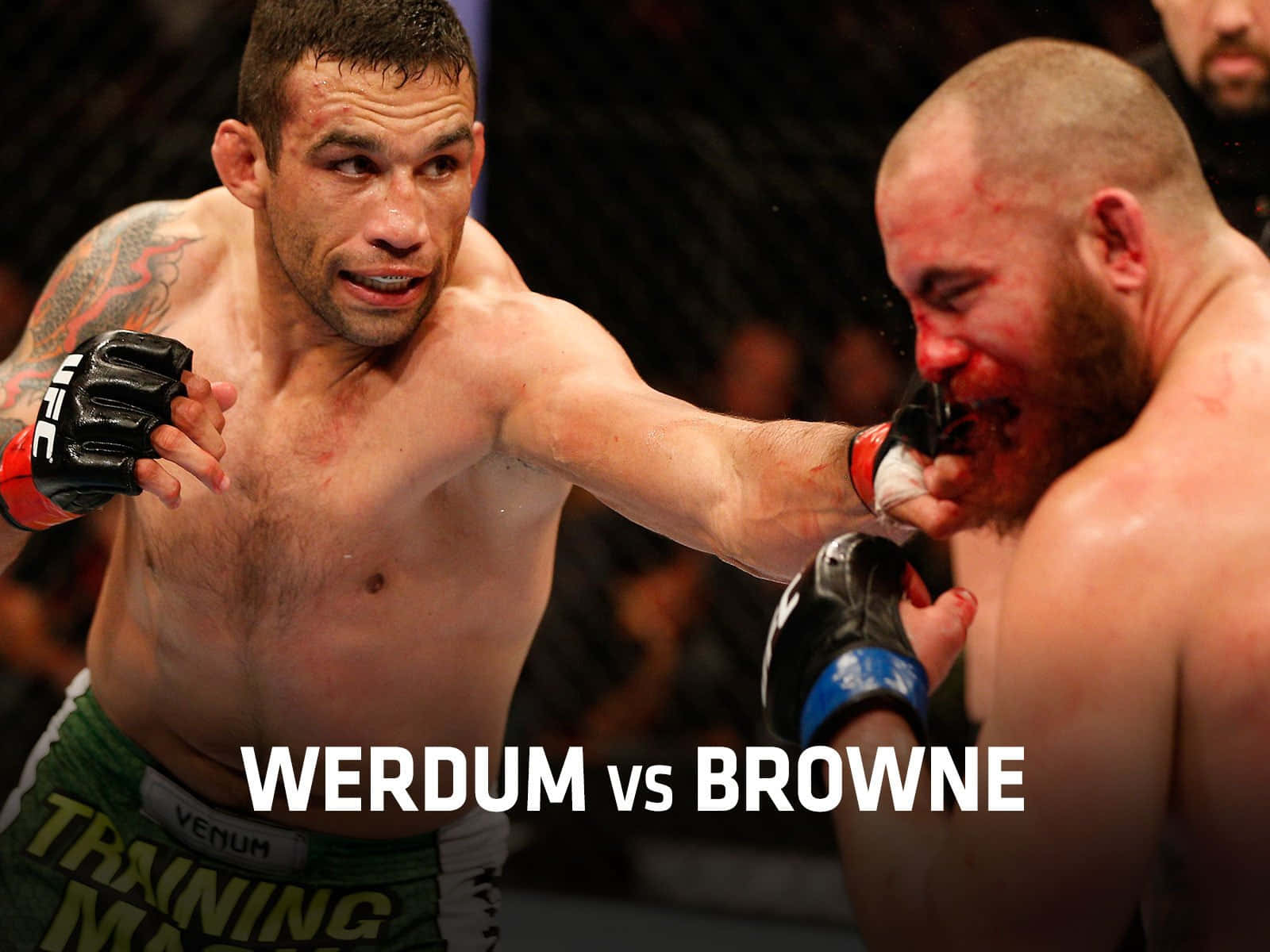 Fabricio Werdum And Travis Browne Wallpaper