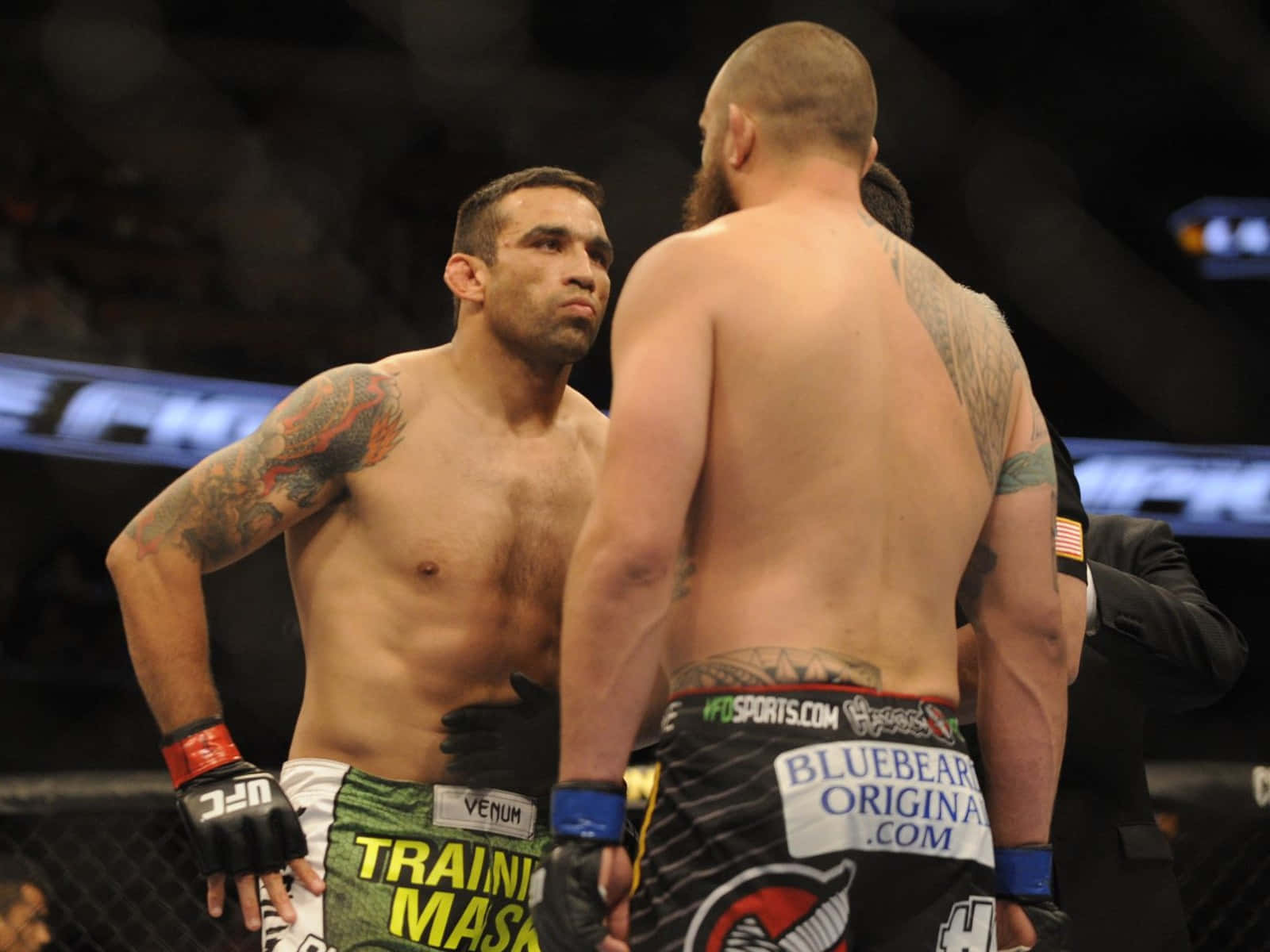 Fabricio Werdum And Travis Browne Face Off Wallpaper