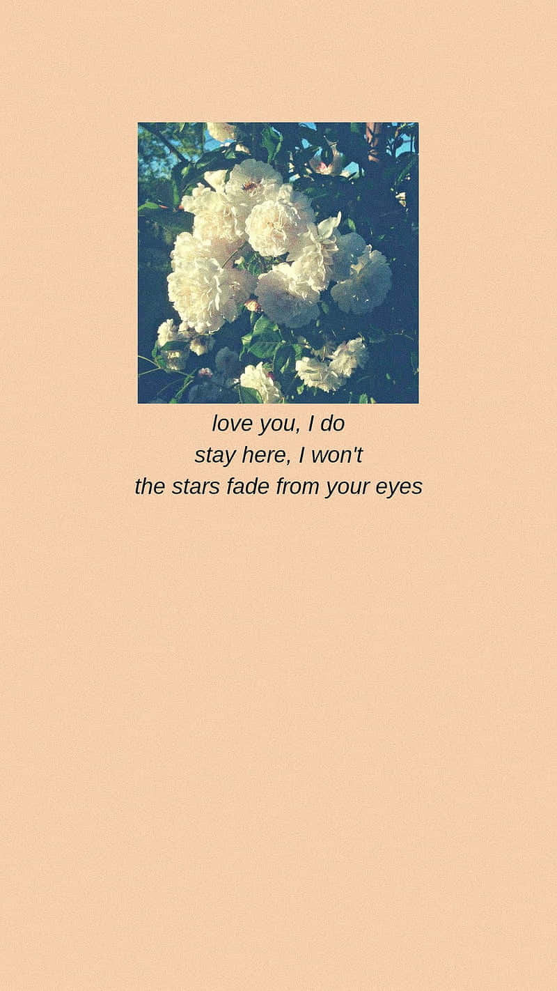 Fading_ Stars_ Poetic_ Flowers_ Aesthetic.jpg Wallpaper