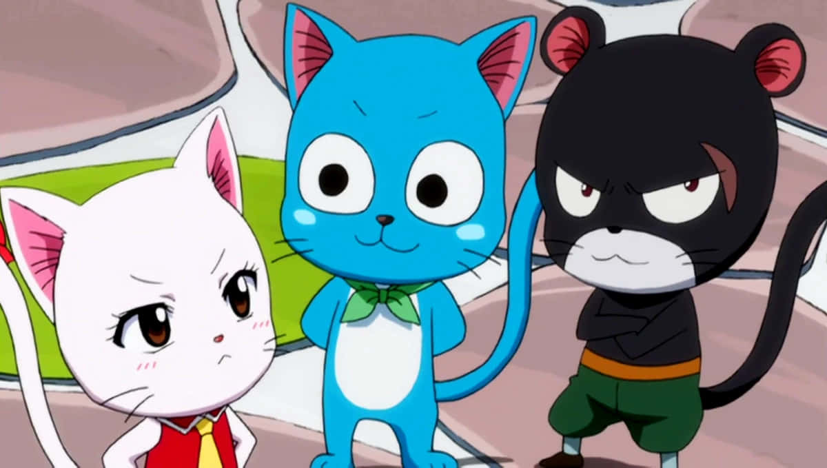 Fairy Tail Cat Characters Wallpaper