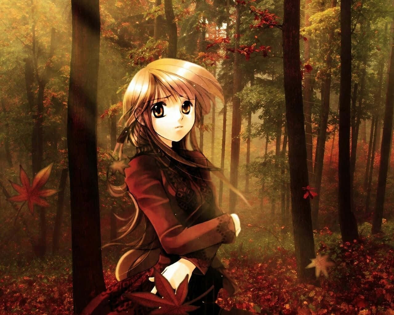 Fall Anime Girl In Dark Forest Wallpaper