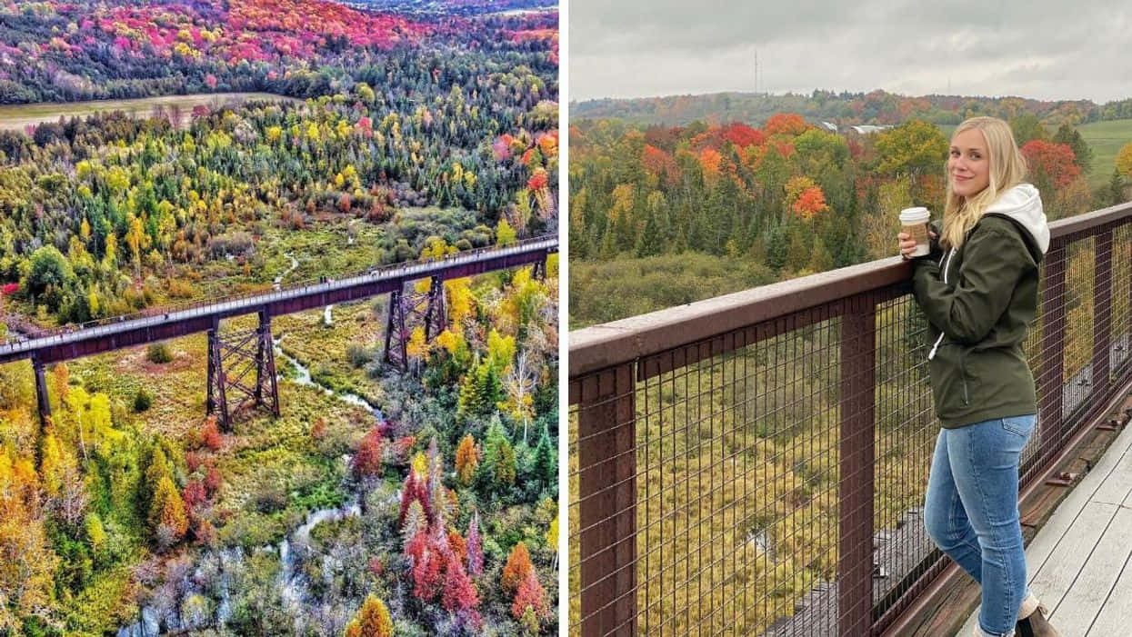 Fall Bridge - A Serene Scene Of A Bridge Surrounded By The Beauty Of Autumn Wallpaper