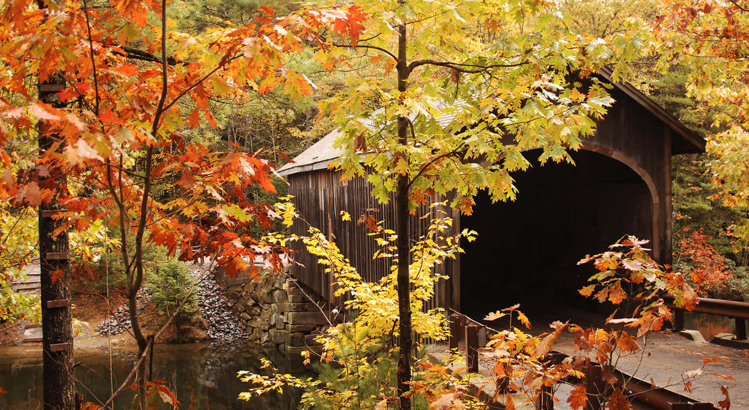 Fall Bridge In A Serene Autumn Forest Wallpaper