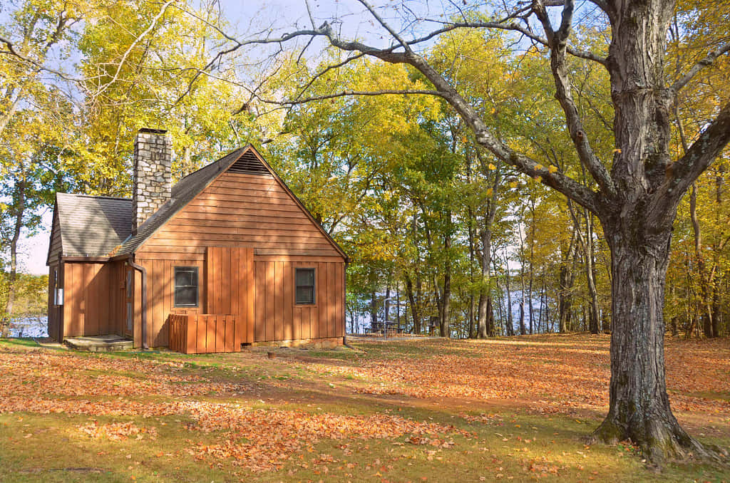 Fall Cabin - Nestled In Nature's Palette Wallpaper