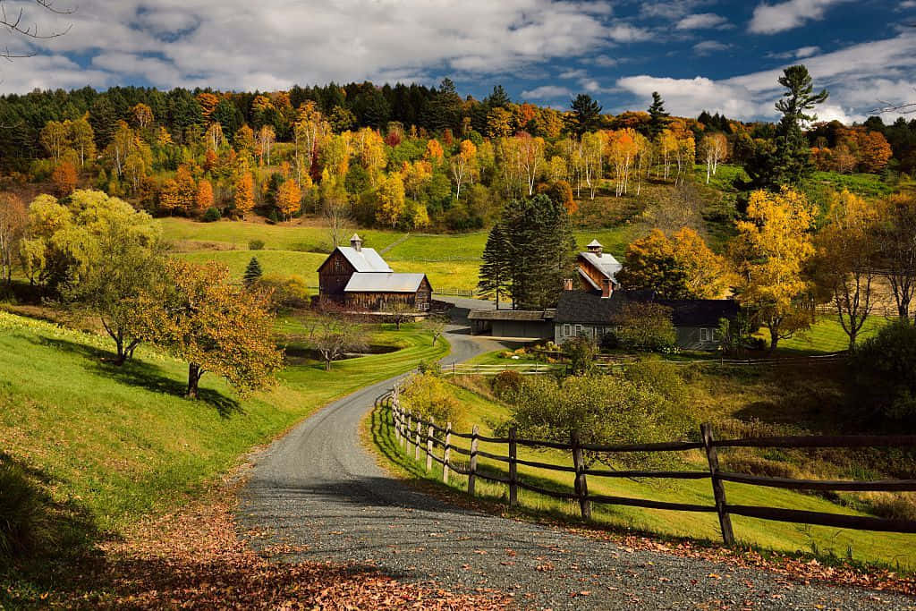 Fall Cabin Retreat In A Serene Forest Wallpaper