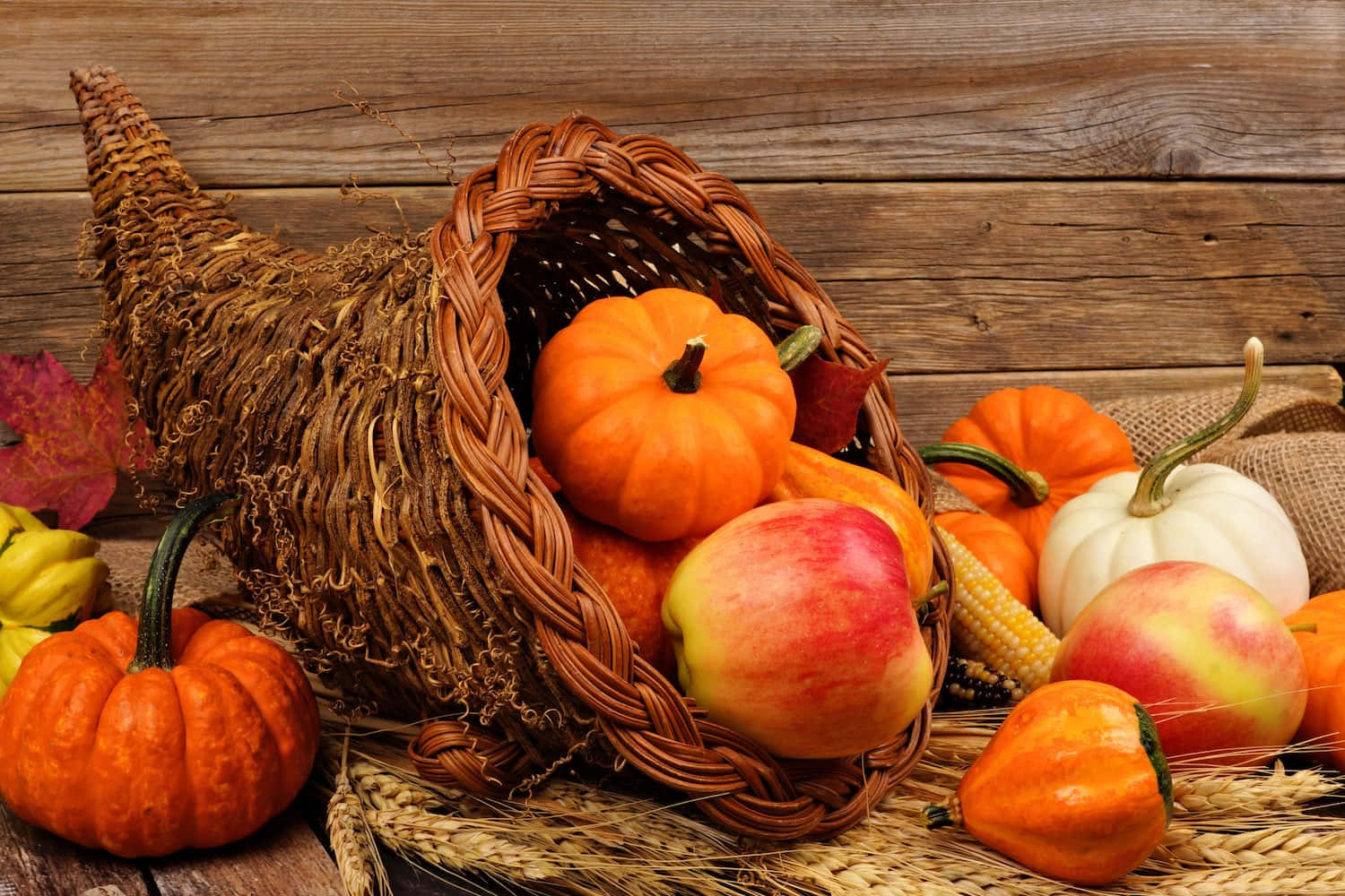 Fall Cornucopia - A Bountiful Harvest Display Wallpaper