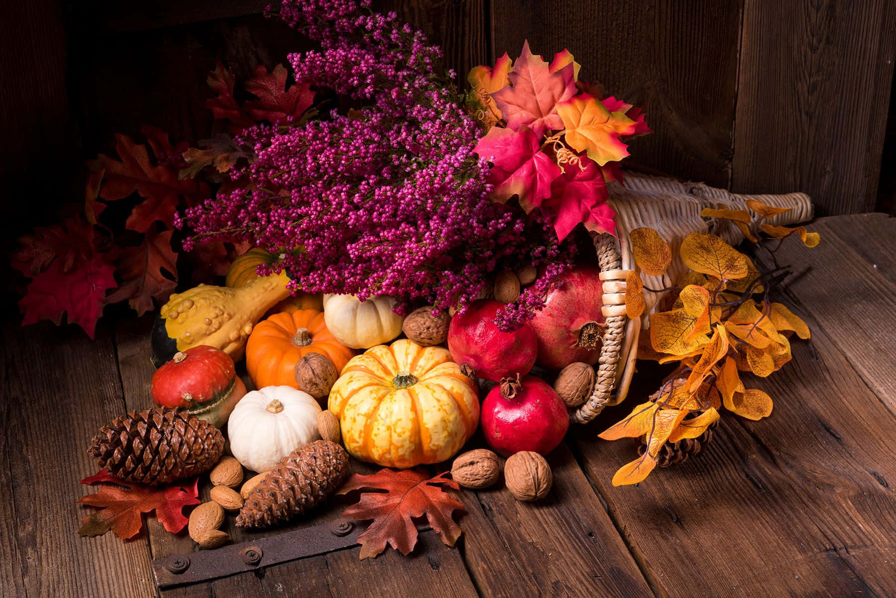 Fall Cornucopia - A Bounty Of Harvest Wallpaper