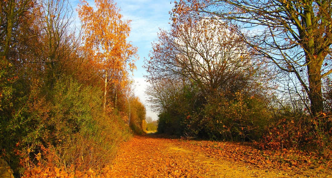 Fall Country Landscape Wallpaper