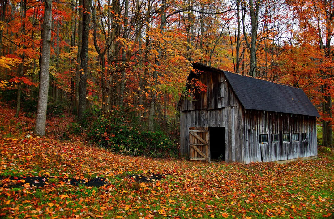 Fall Country Scenic Landscape Wallpaper