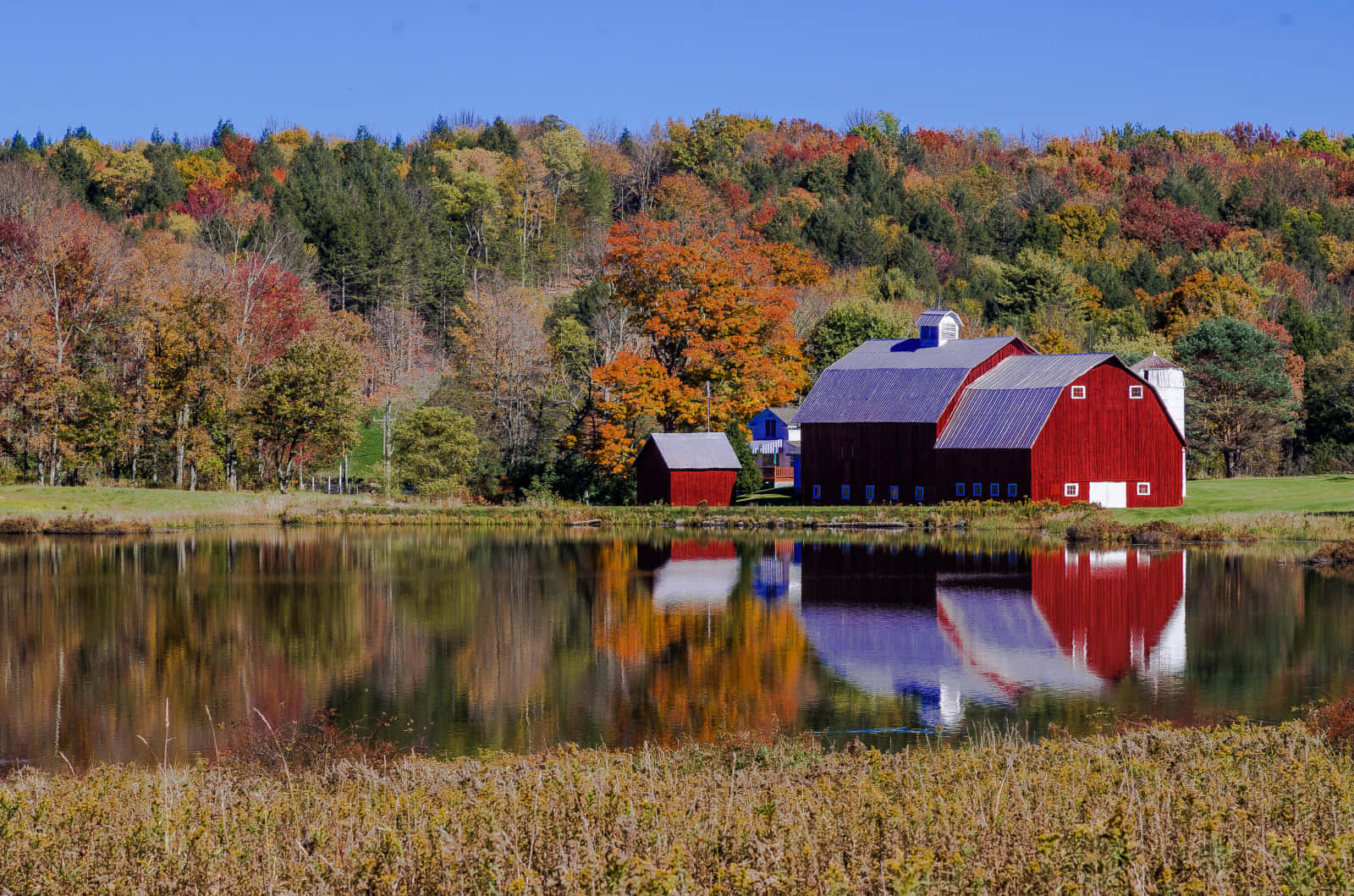 Fall Farmhouse Scenery Wallpaper