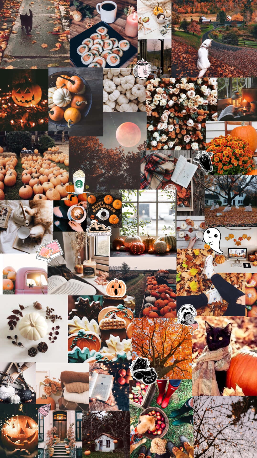 Fall Halloween Collage Aesthetic.jpg Wallpaper