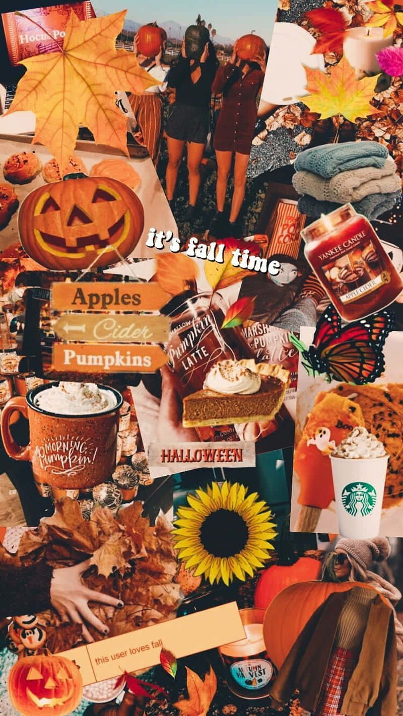 Fall Halloween Collage Aesthetic Wallpaper