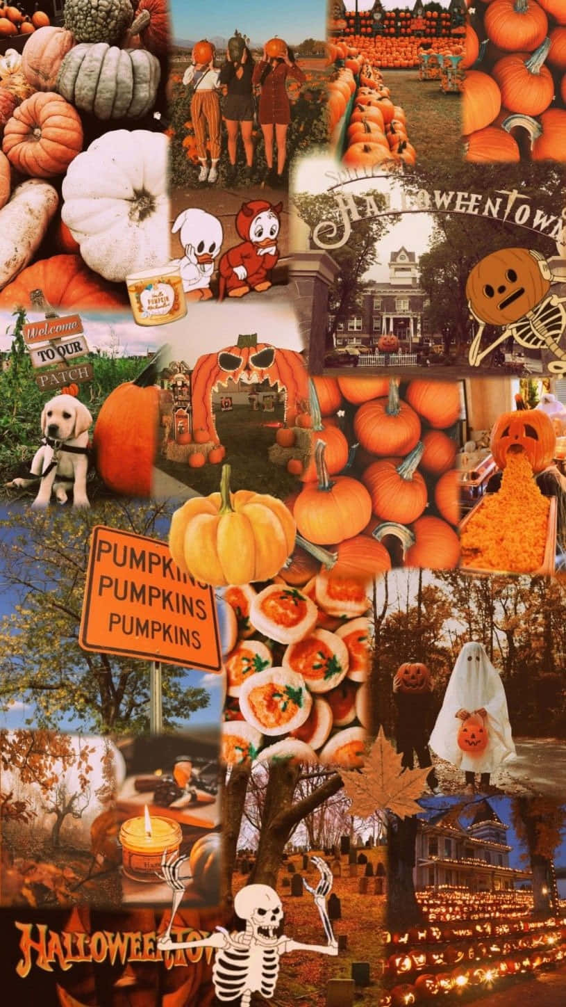 Fall Halloween Collage Aesthetic Wallpaper