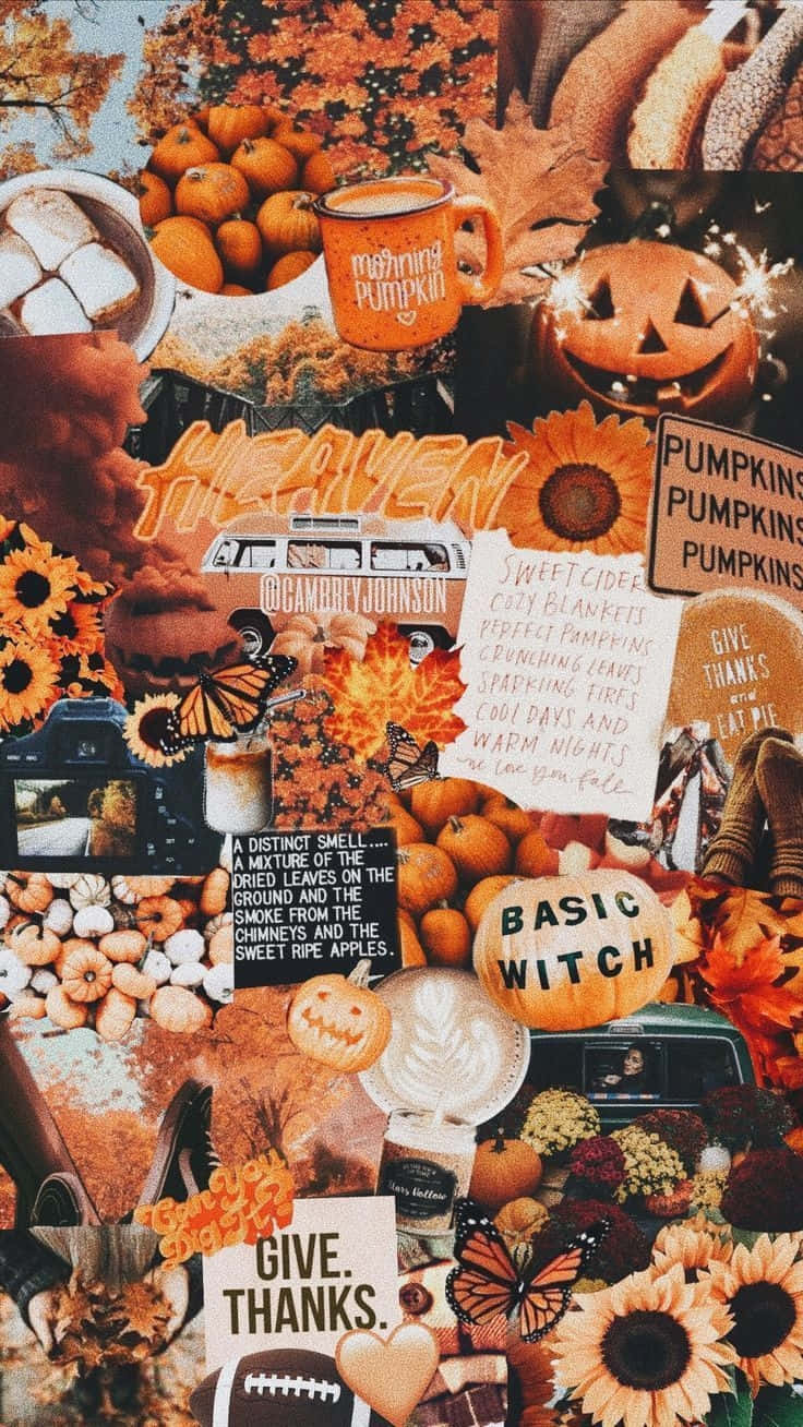 Fall Halloween Collage Aesthetic Wallpaper