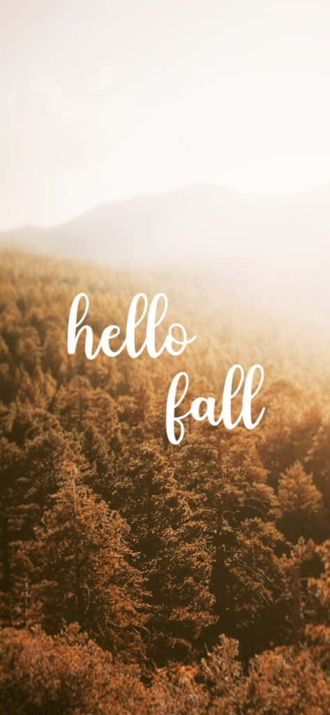 Fall Is Here! Wallpaper