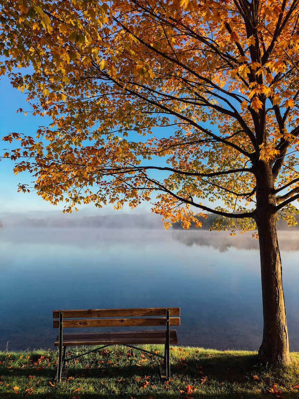 Fall Lake Scenery Wallpaper