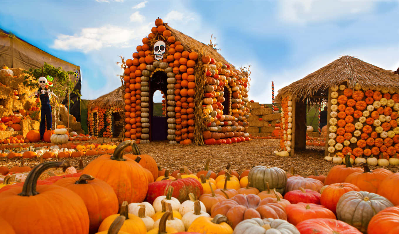 Fall Pumpkins On A Rustic Wood Table In Autumn Wallpaper