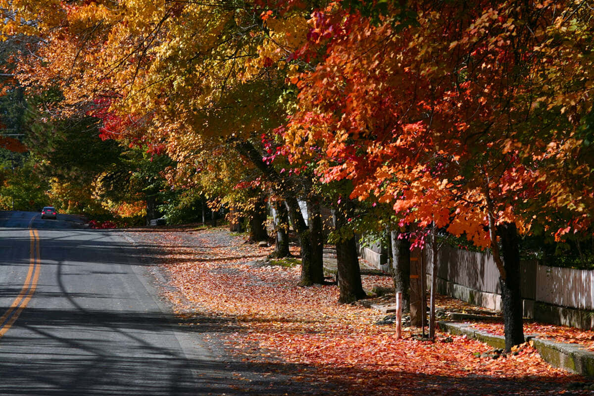 Fall Road Amid Scenic Autumn Landscape Wallpaper