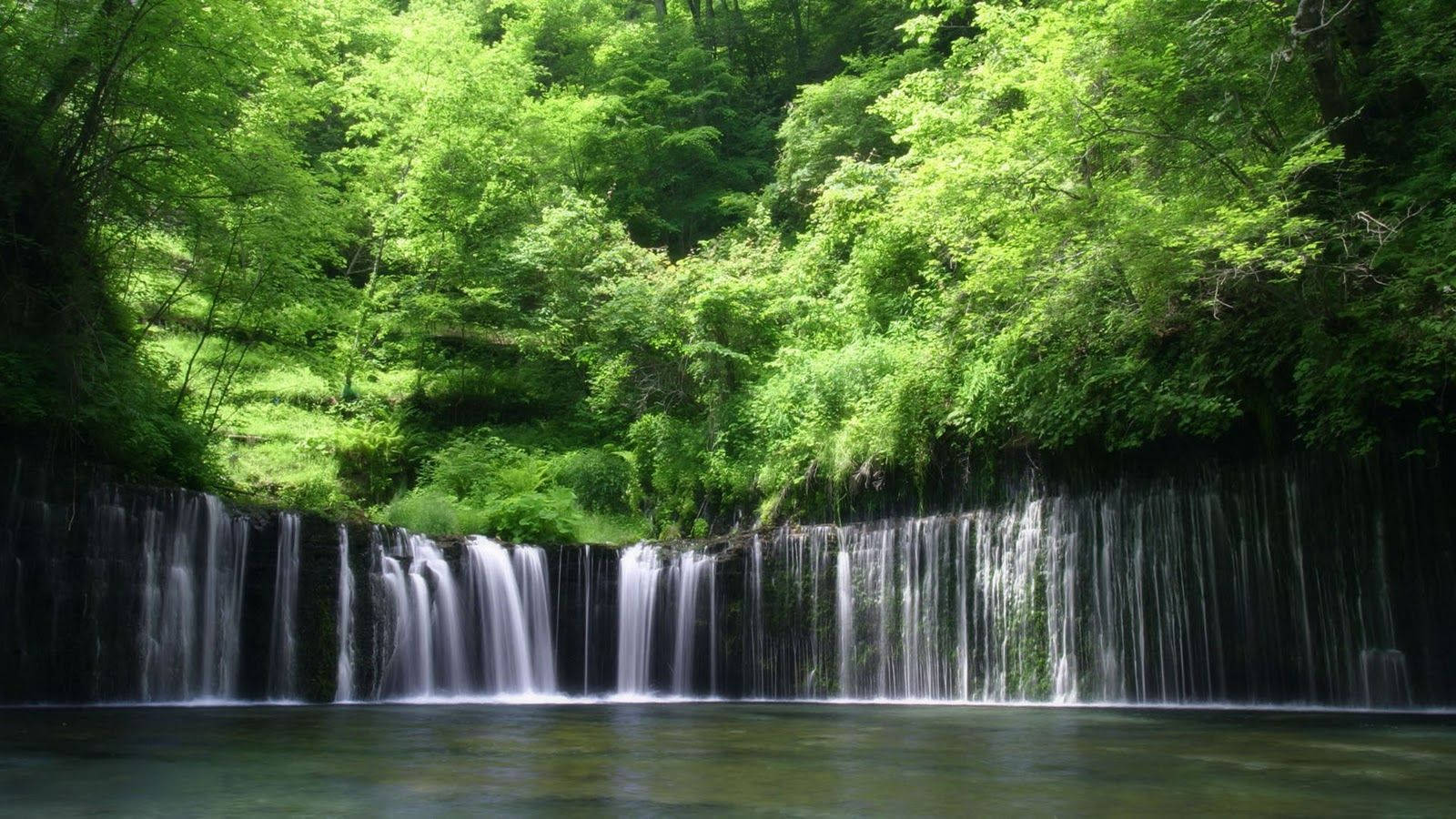 Falls And Green Trees Congo Wallpaper