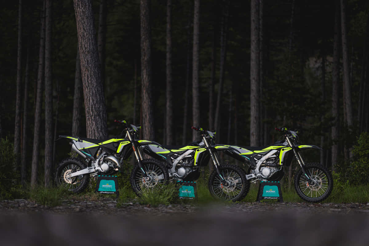 Fantic Motorcyclesin Forest Wallpaper