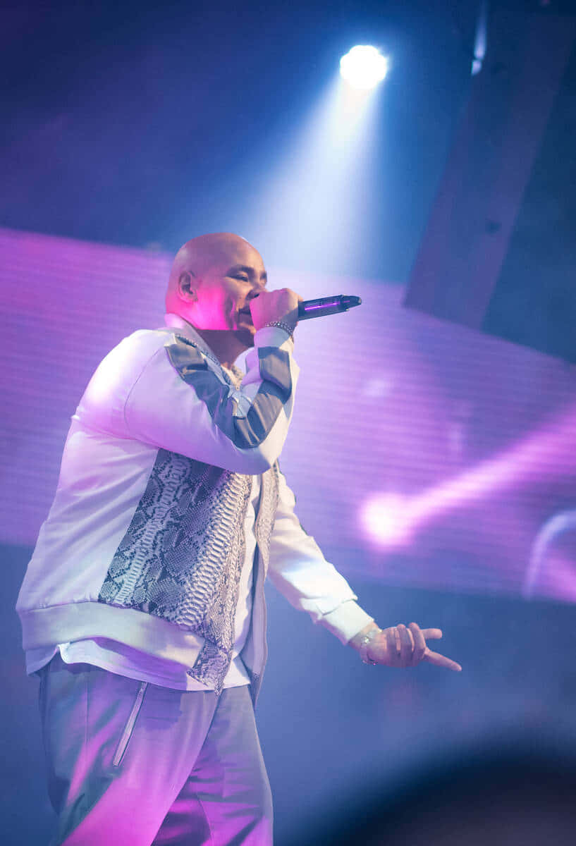 Fat Joe Performing Live Concert Wallpaper