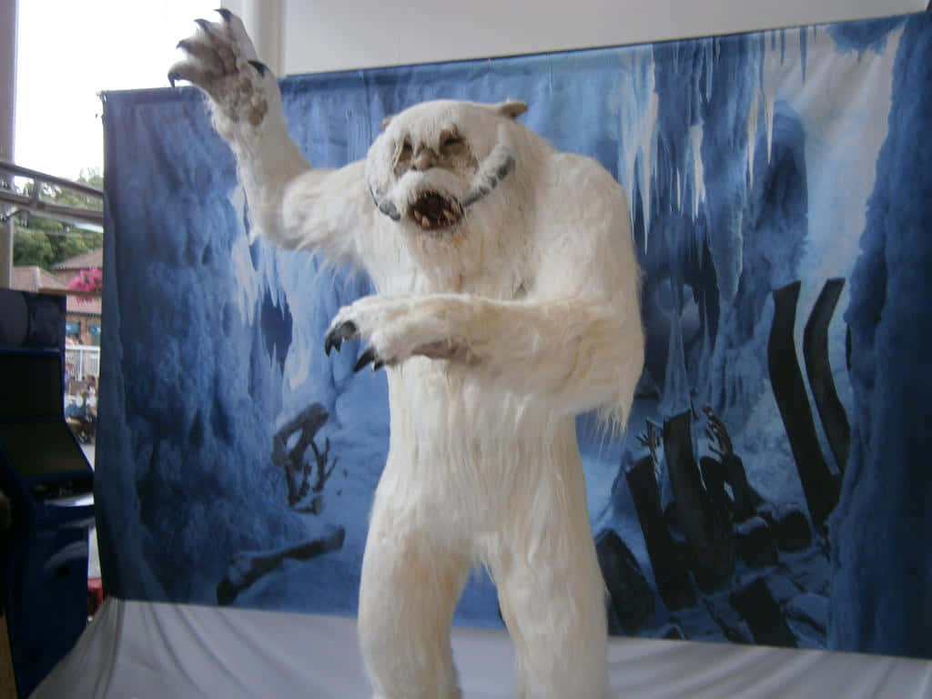 Fear The Wampa Creatures Of Hoth Wallpaper