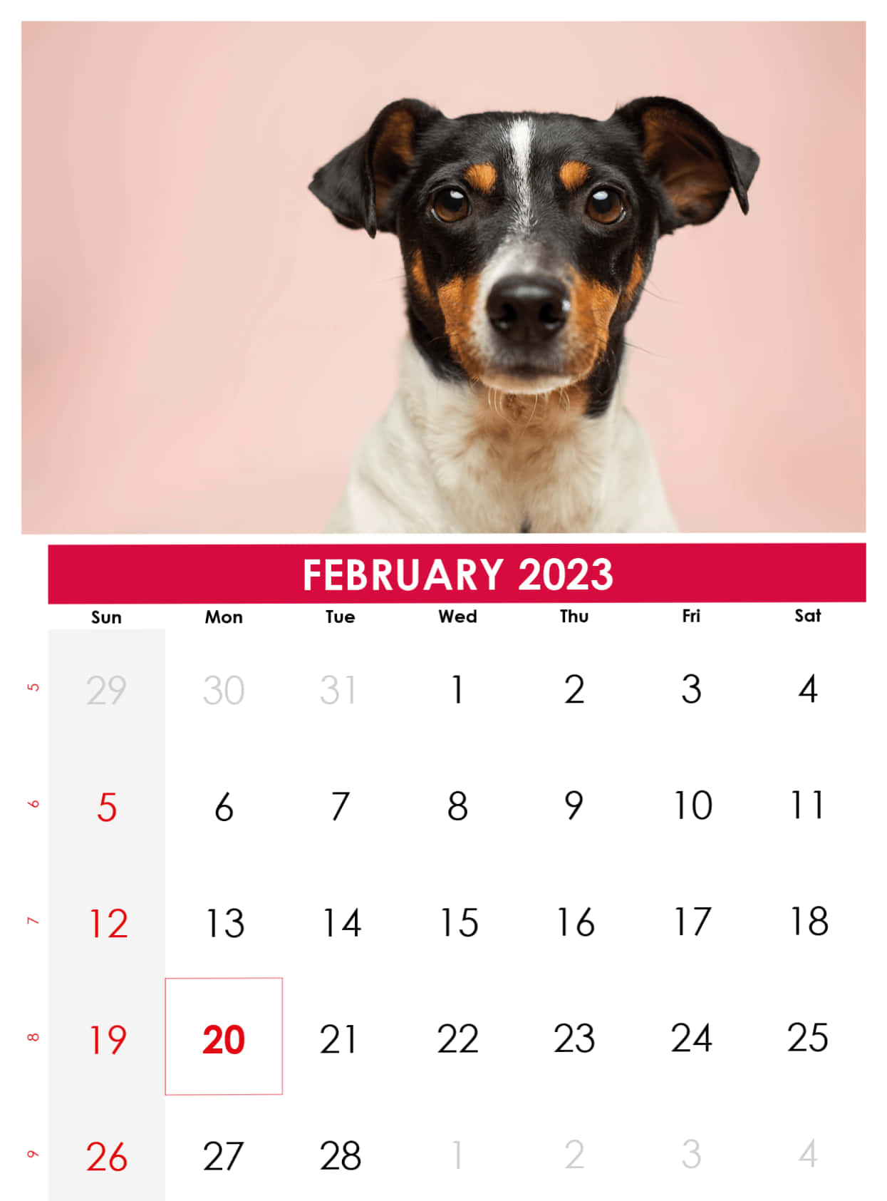 February Calendar 1245 X 1685 Wallpaper