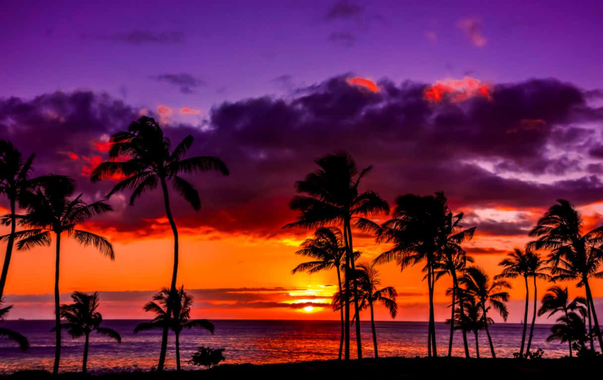 Feel The Aloha With A Hawaiian Sunset Wallpaper