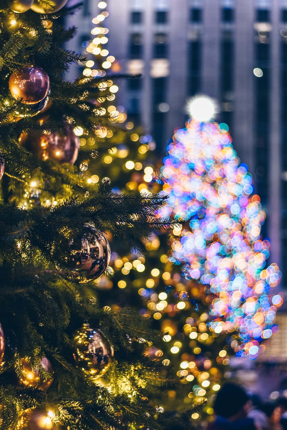 Festive Christmas Lights Bokeh Wallpaper