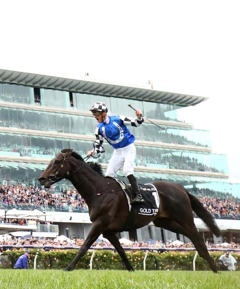 Festive Crowd Watching The Melbourne Cup Day Wallpaper