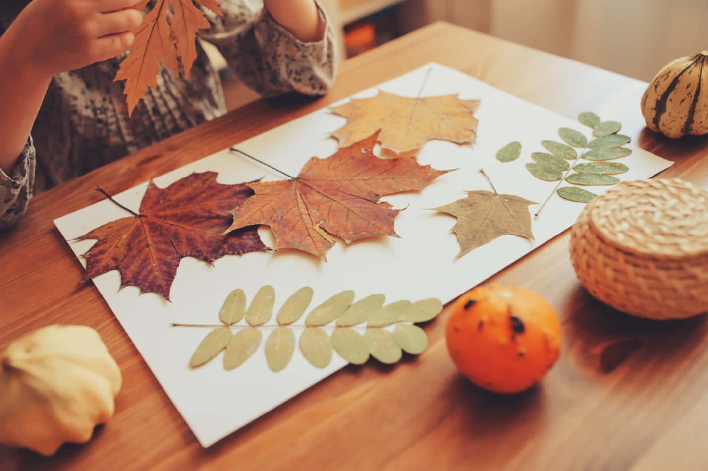 Festive Fall Craft Arrangement Wallpaper