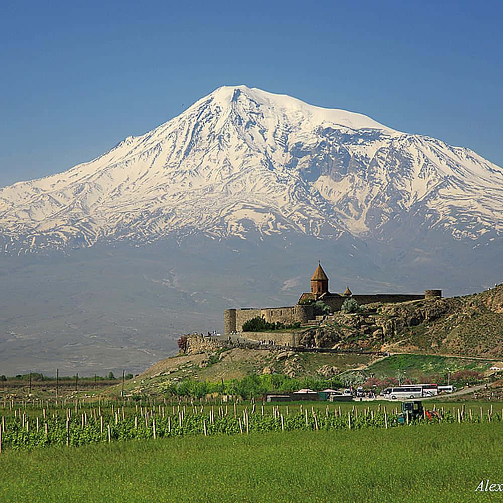 Field With Khor Virap And Volcano Wallpaper