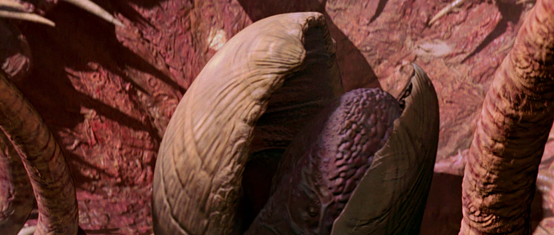 Fight Your Way Out Of The Sarlacc Pit Wallpaper