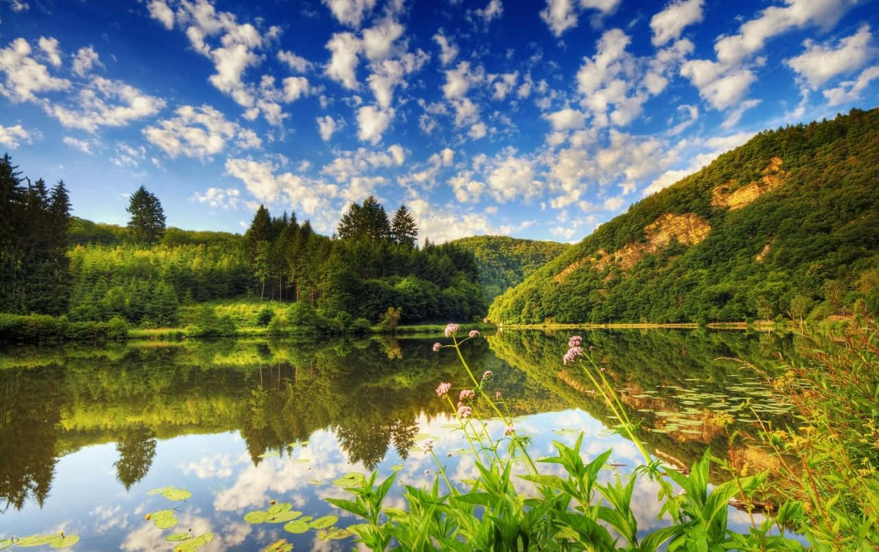 Find Peace And Beauty In Nature At This Tranquil Lake. Wallpaper