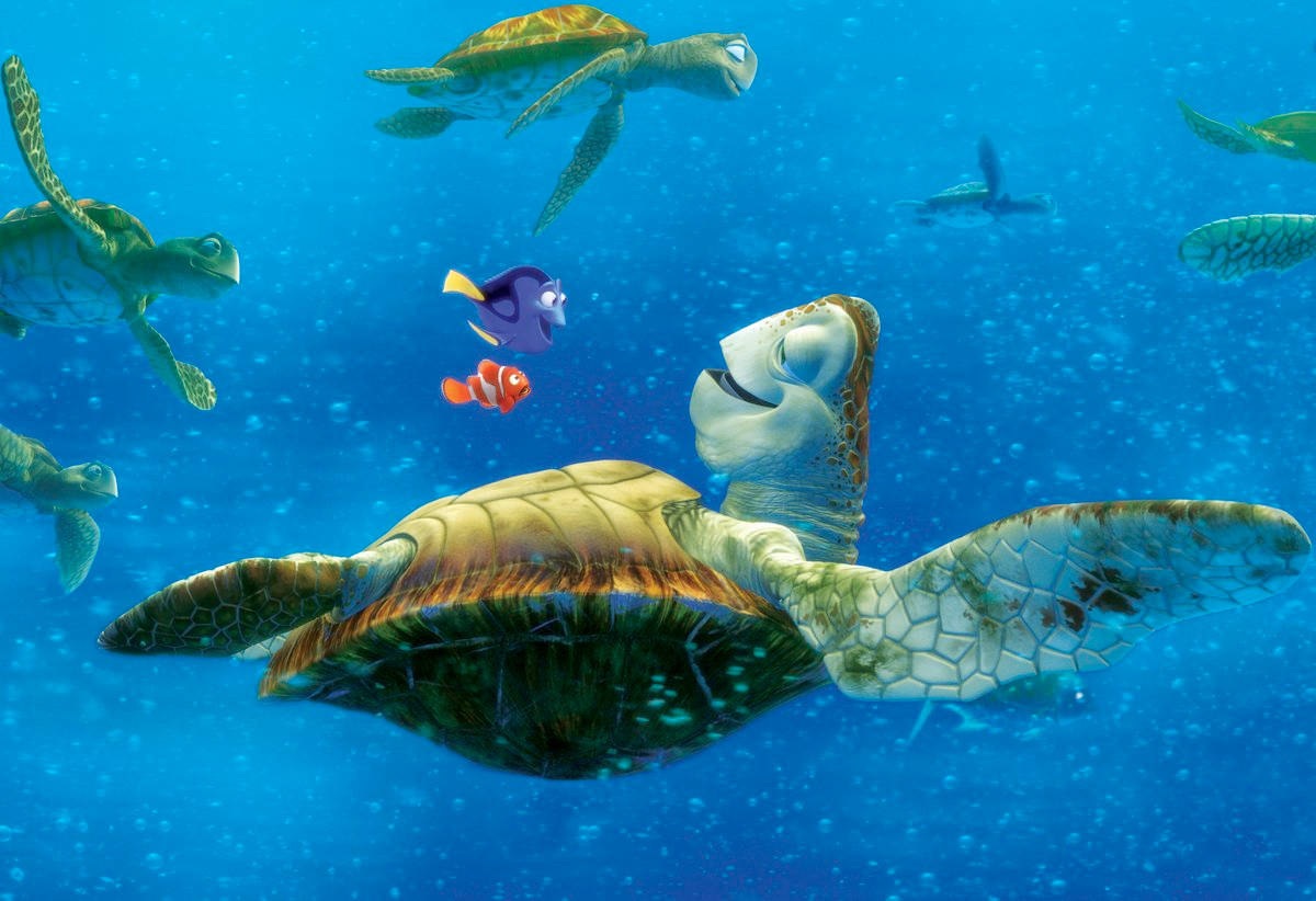 Finding Nemo Crush Upside Down Wallpaper