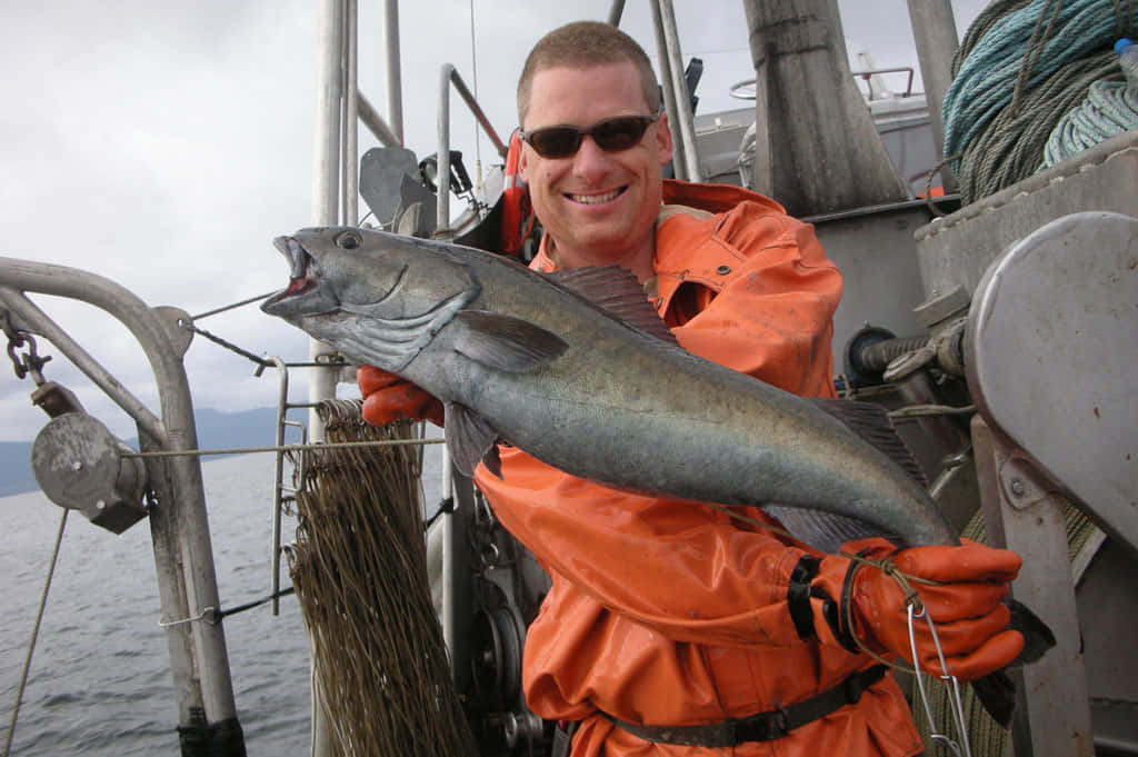 Fisherman Holding Large Sablefish Wallpaper