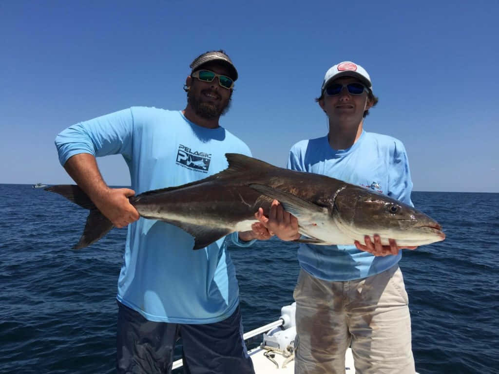 Fishermen Holding Cobia Catch Wallpaper