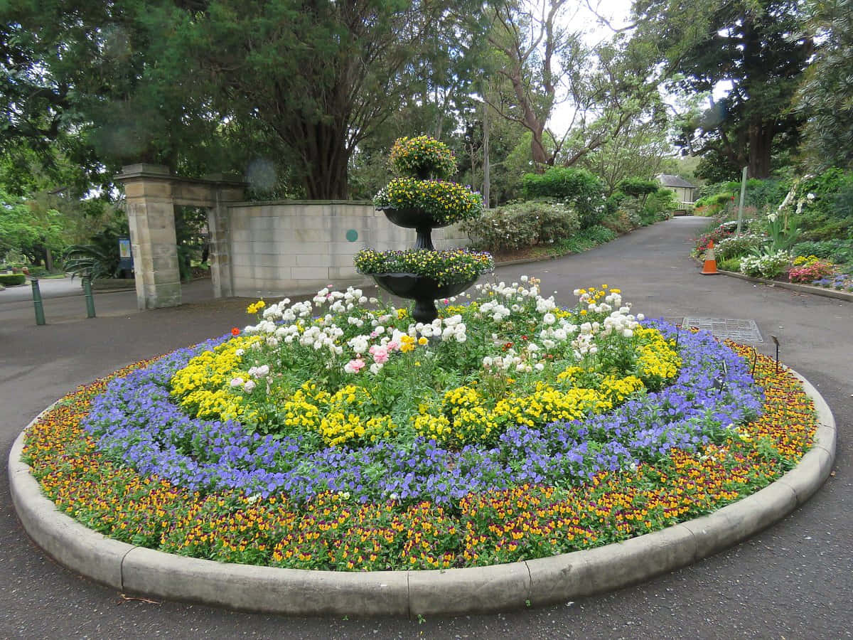 Floral_ Display_ Royal_ Botanic_ Garden_ Sydney Wallpaper