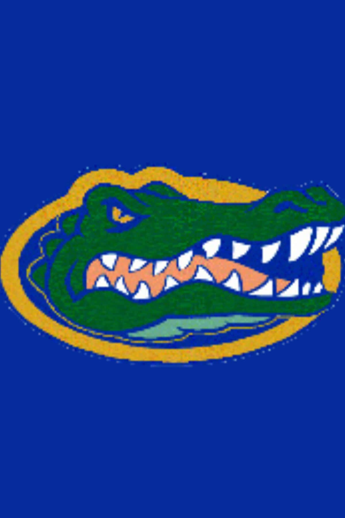 Florida Gators Logo 1200 X 1800 Wallpaper