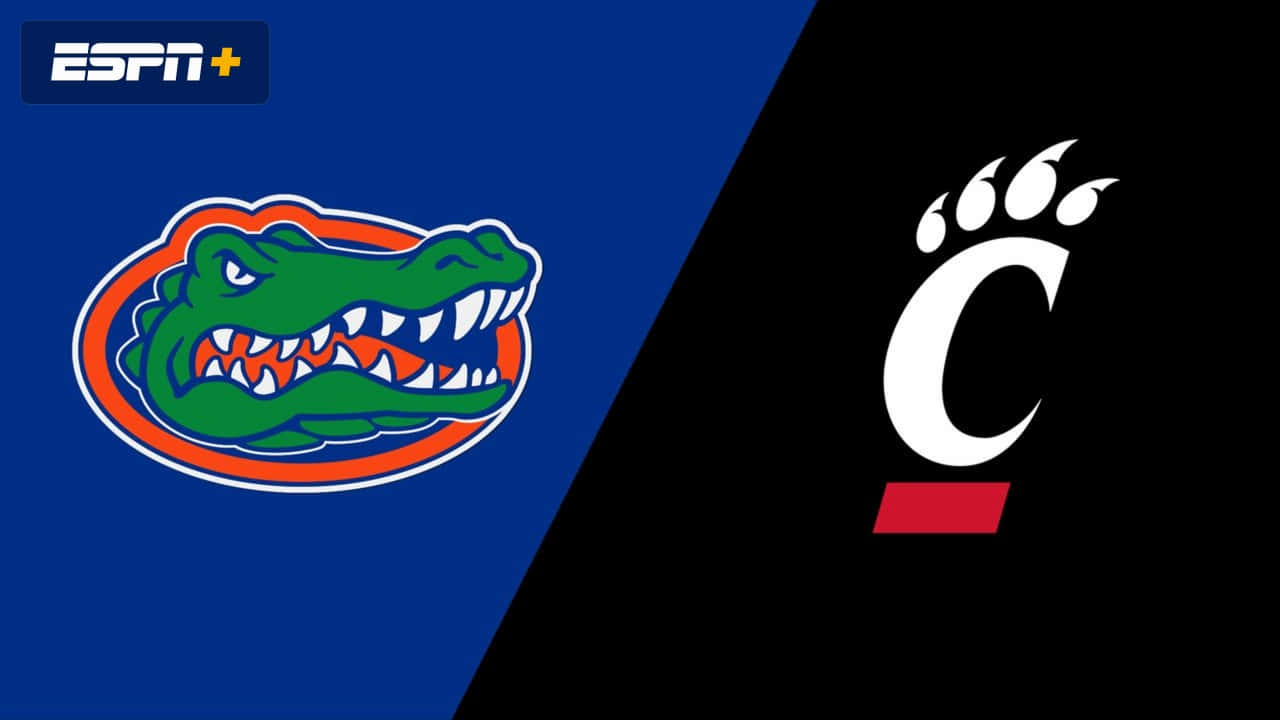 Florida Gators Vs Cleveland Bears M Basketball Wallpaper