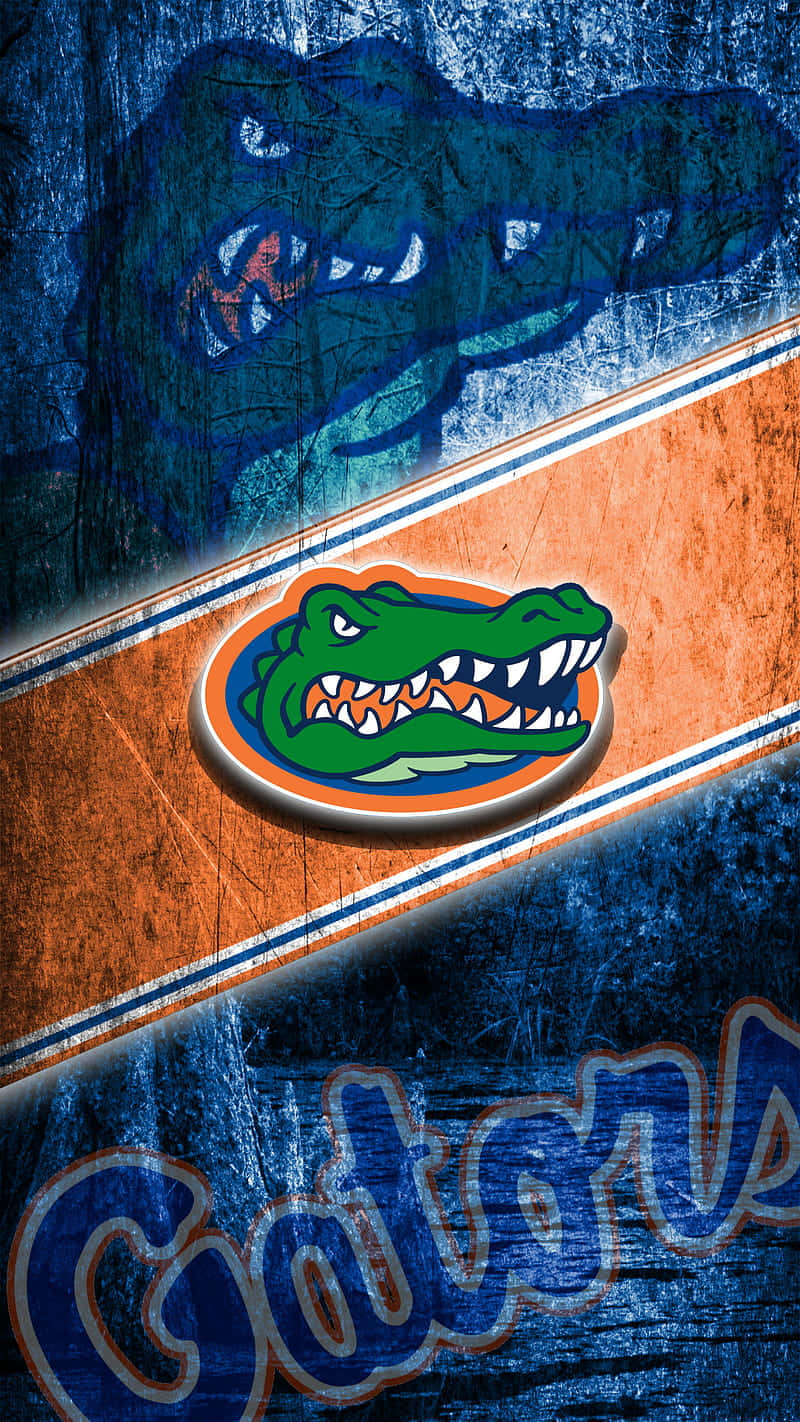 Florida Gators Wallpaper - Hd Wallpapers Wallpaper