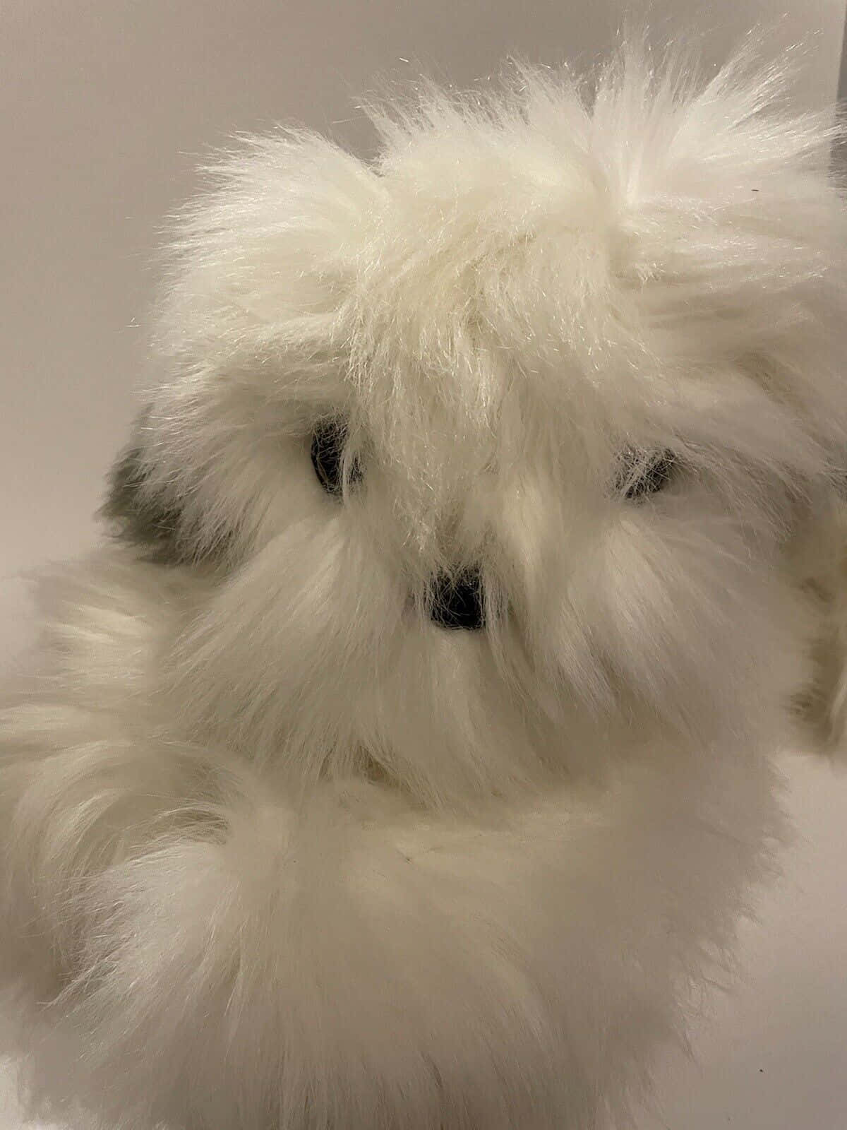 Fluffy White Dog Toy Wallpaper