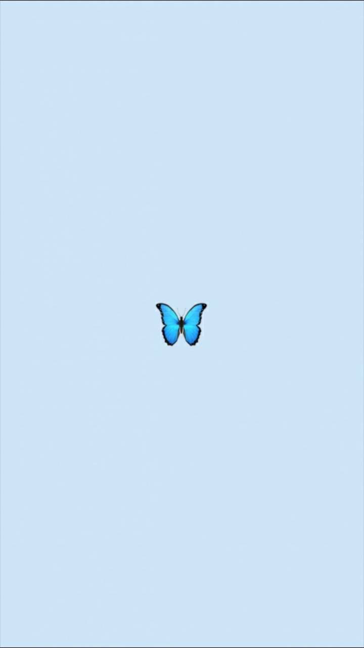 Flutter Through Life✨ Wallpaper