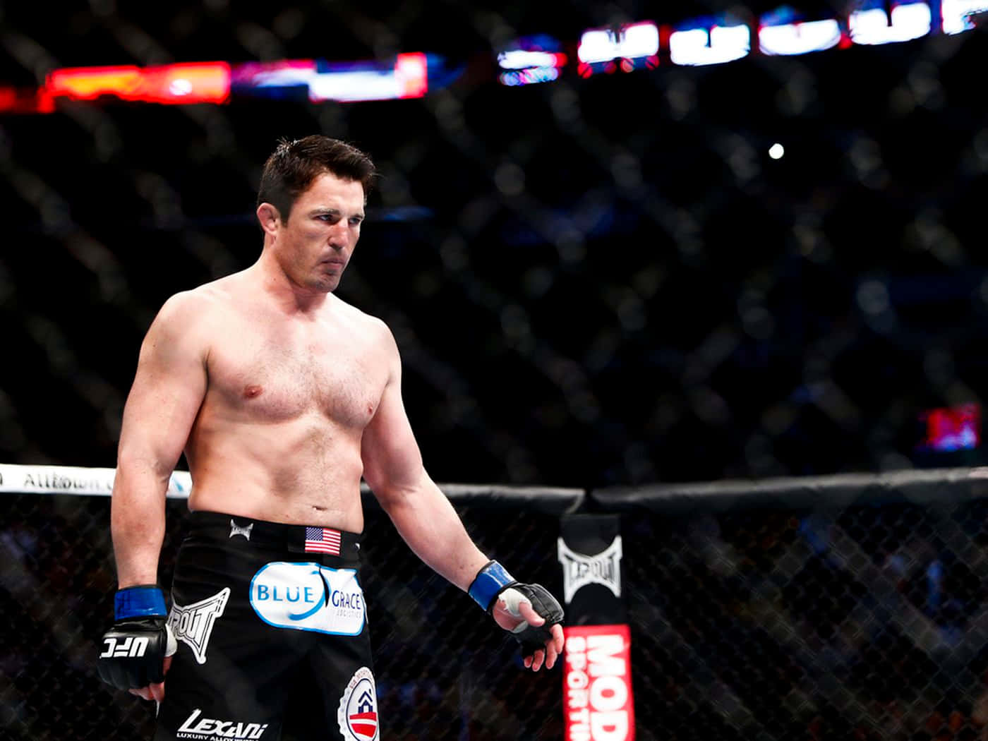 Focus Photo Chael Sonnen Wallpaper