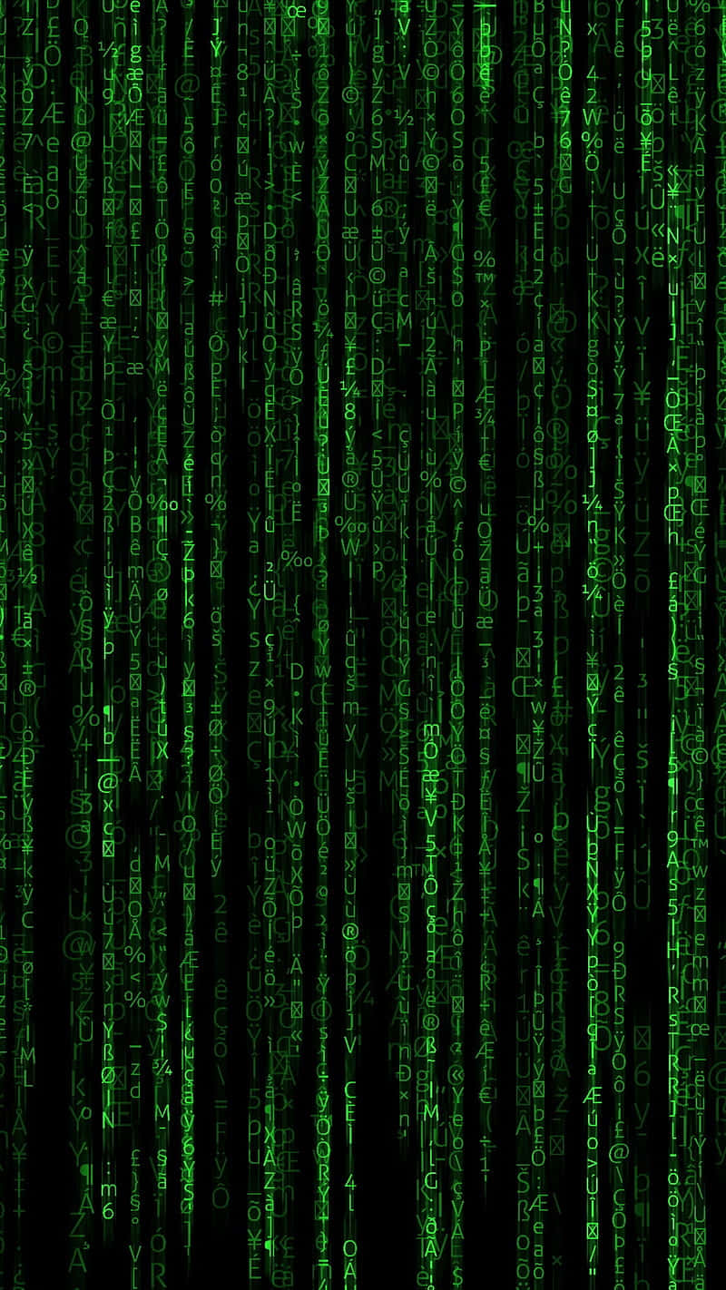 Follow The Matrix Code Wallpaper