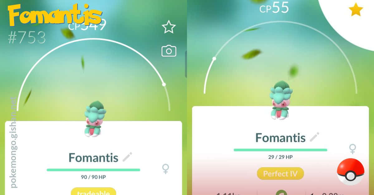 Fomantis 1200 X 627 Wallpaper